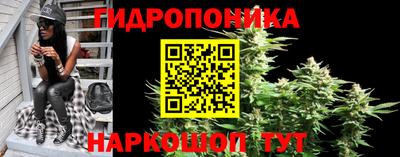 прущие крисы Моздок