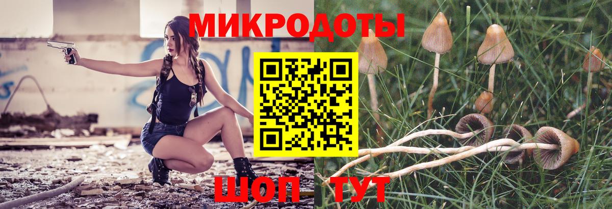 Псилоцибиновые грибы мухоморы  Вход с VPN  Гудермес 